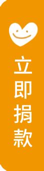 書本名稱|簡單四步驟，教學生認識一本書